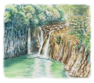 絵の具の色の作り方次第で絵が上手くなる 水彩 油彩 アクリル画共通 マイライフ